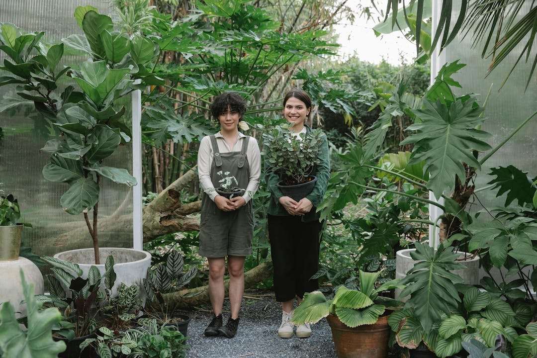 Two smiling people holding plants standing amidst lush greenery in a greenhouse.