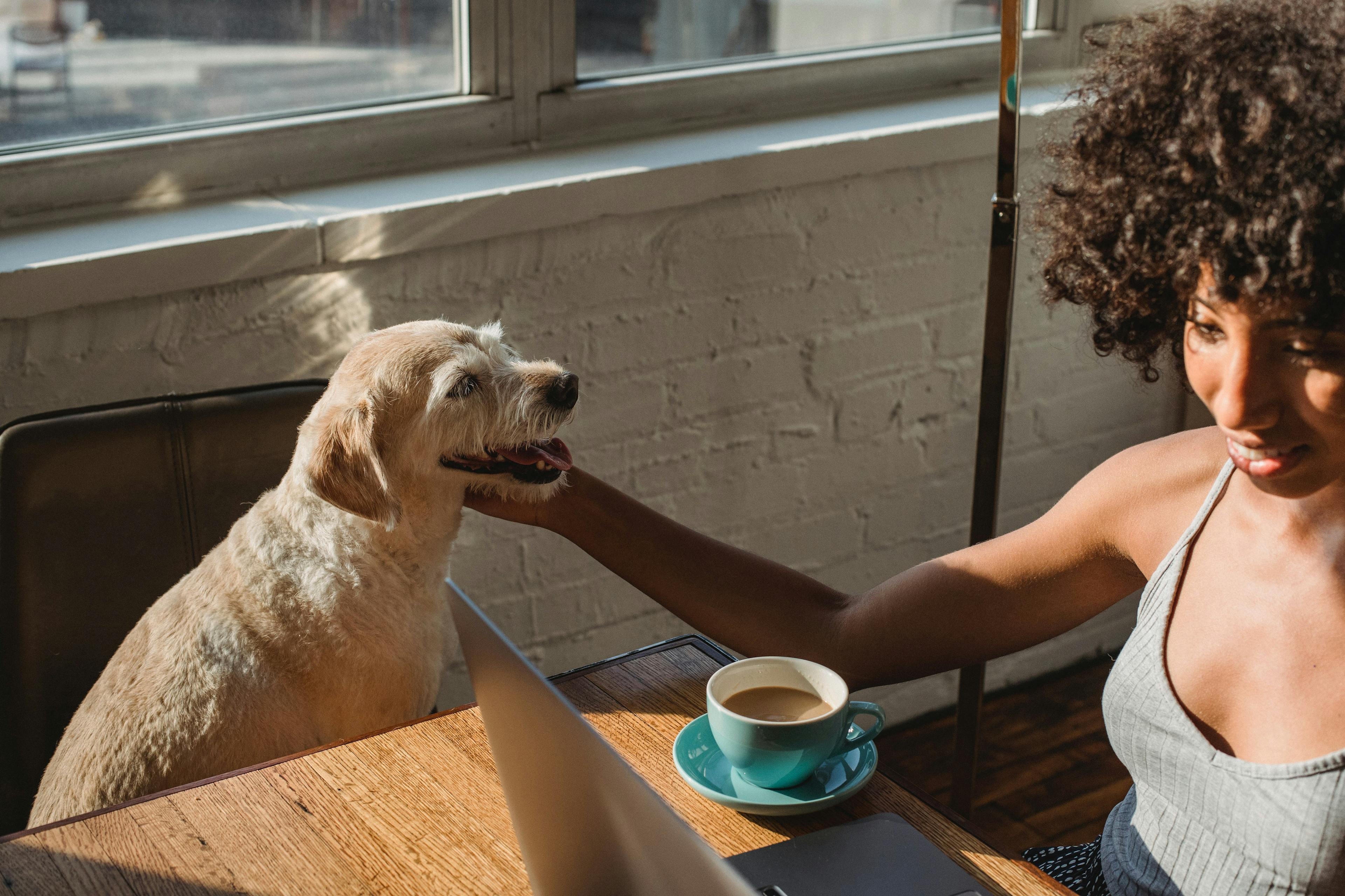 Smiling woman enjoying a sunny workspace with her happy dog beside a cup of coffee and laptop.